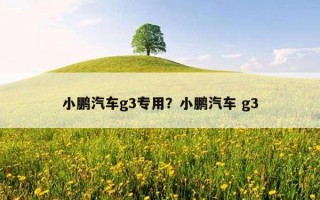小鵬汽車g3專用？小鵬汽車 g3