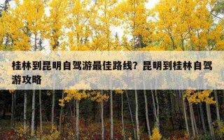 桂林到昆明自駕游最佳路線？昆明到桂林自駕游攻略