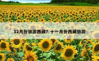 12月份旅游西藏?十一月份西藏旅游 12月份旅游西藏?十一月份西藏旅游