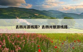 去四川游線路？去四川旅游線路