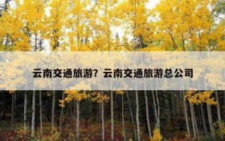 云南交通旅游？云南交通旅游總公司