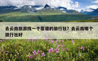 去云南旅游找一個靠譜的旅行社？去云南哪個旅行社好