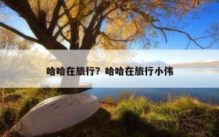 哈哈在旅行？哈哈在旅行小偉