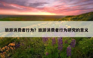 旅游消費者行為？旅游消費者行為研究的意義