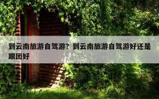 到云南旅游自駕游？到云南旅游自駕游好還是跟團好