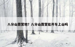 八分山露營地？八分山露營能開車上山嗎