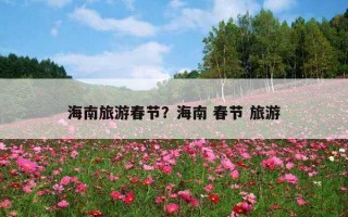 海南旅游春節？海南 春節 旅游