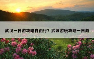 武漢一日游攻略自由行？武漢游玩攻略一日游