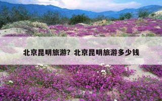 北京昆明旅游？北京昆明旅游多少錢