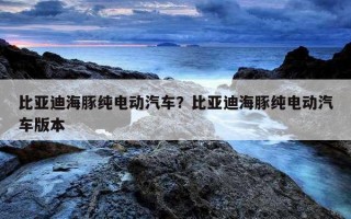 比亞迪海豚純電動汽車？比亞迪海豚純電動汽車版本