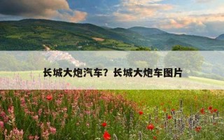 長城大炮汽車？長城大炮車圖片