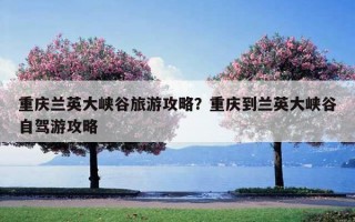 重慶蘭英大峽谷旅游攻略？重慶到蘭英大峽谷自駕游攻略