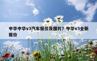 中華中華v3汽車報價及圖片？中華v3全新報價