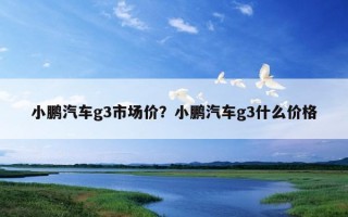 小鵬汽車g3市場價？小鵬汽車g3什么價格