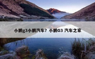 小鵬g3小鵬汽車？小鵬G3 汽車之家