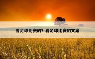 看足球比賽的？看足球比賽的文案