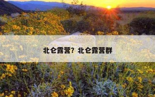 北侖露營？北侖露營群