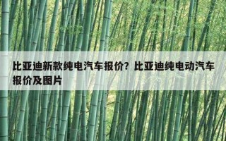 比亞迪新款純電汽車報價？比亞迪純電動汽車報價及圖片