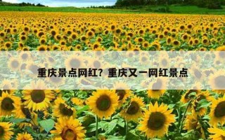 重慶景點網紅？重慶又一網紅景點