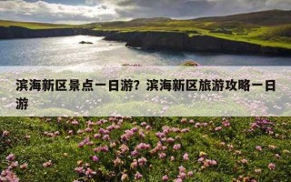 濱海新區景點一日游？濱海新區旅游攻略一日游