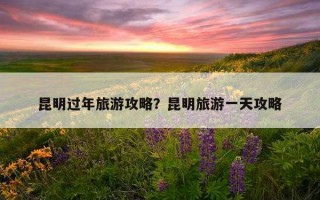 昆明過年旅游攻略？昆明旅游一天攻略