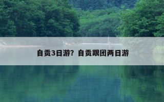 自貢3日游？自貢跟團兩日游