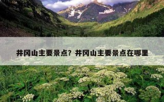 井岡山主要景點？井岡山主要景點在哪里