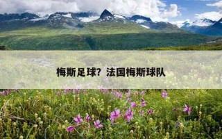 梅斯足球？法國梅斯球隊