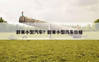 蔚來小型汽車？蔚來小型汽車價格