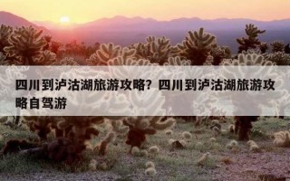 四川到瀘沽湖旅游攻略？四川到瀘沽湖旅游攻略自駕游