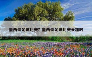 墨西哥足球比賽？墨西哥足球比賽愛加時