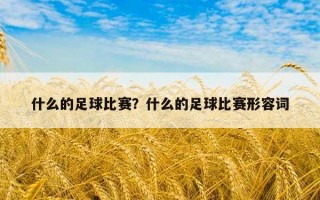 什么的足球比賽？什么的足球比賽形容詞