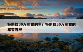 特斯拉30萬左右的車？特斯拉30萬左右的車有哪些