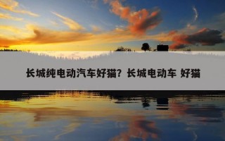 長城純電動汽車好貓？長城電動車 好貓