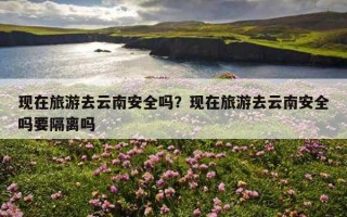 現在旅游去云南安全嗎？現在旅游去云南安全嗎要隔離嗎