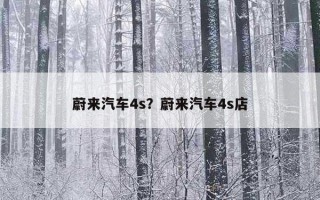 蔚來汽車4s？蔚來汽車4s店
