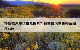 特斯拉汽車價格及圖片？特斯拉汽車價格及圖片suv