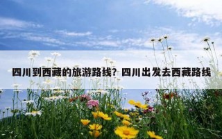 四川到西藏的旅游路線？四川出發去西藏路線