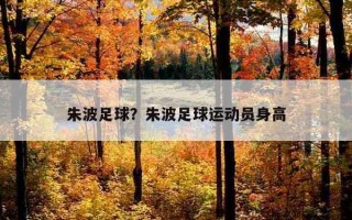 朱波足球？朱波足球運動員身高