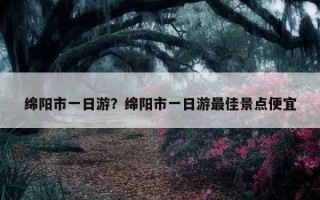 綿陽市一日游？綿陽市一日游最佳景點便宜