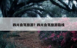 四川自駕旅游？四川自駕旅游路線