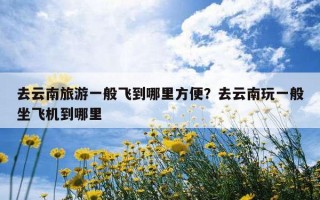 去云南旅游一般飛到哪里方便？去云南玩一般坐飛機到哪里