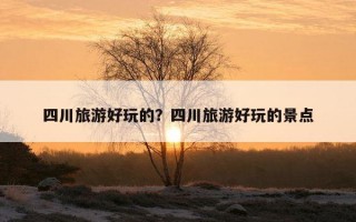 四川旅游好玩的？四川旅游好玩的景點