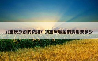 到重慶旅游的費用？到重慶旅游的費用要多少