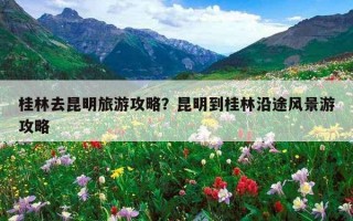 桂林去昆明旅游攻略？昆明到桂林沿途風景游攻略