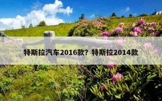 特斯拉汽車2016款？特斯拉2014款