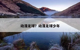 動漫足球？動漫足球少年