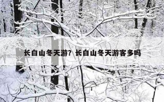 長白山冬天游？長白山冬天游客多嗎