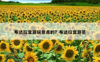 布達拉宮游玩景點的？布達拉宮游覽