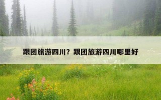 跟團旅游四川？跟團旅游四川哪里好